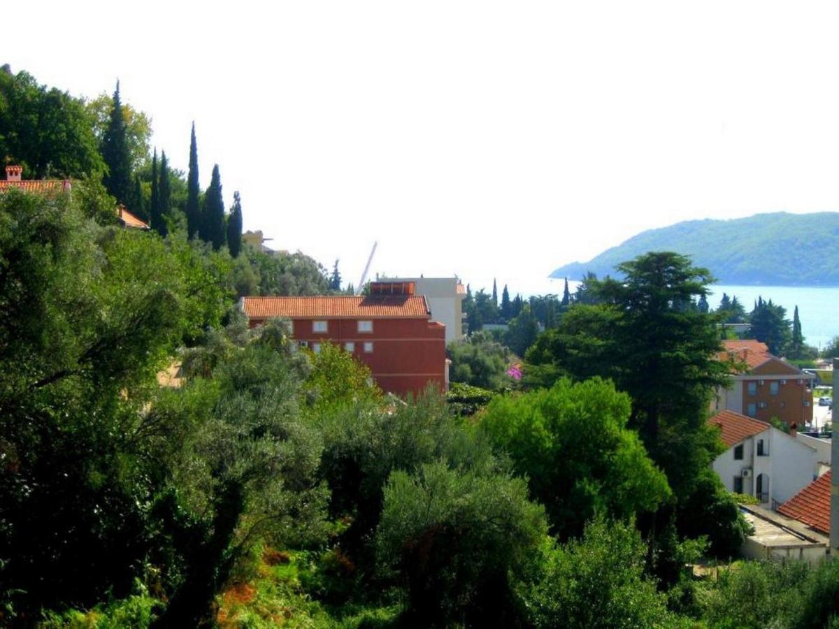 Villa Seka Budva Bagian luar foto